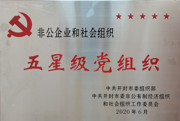 开封市五星级党组织